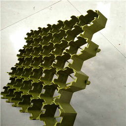 清遠塑料植草格廠家 以專業品質，助力綠色生態建設