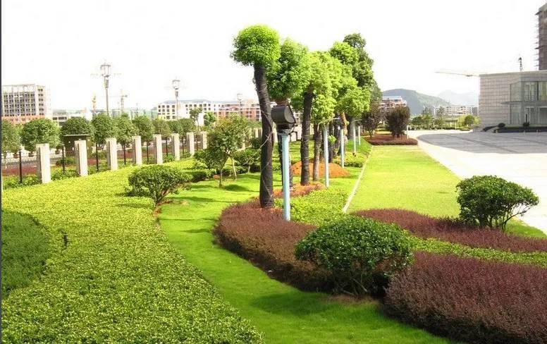 以園林綠化工程為基石，推進城市生態高質量發展